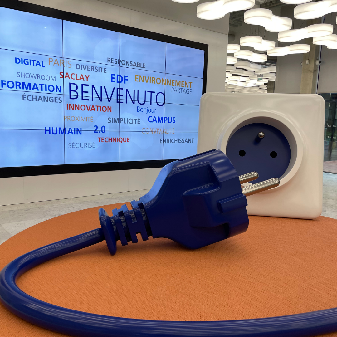 photo d'une prise electrique, incarnant le client EDF - Meilleurs conférenciers.